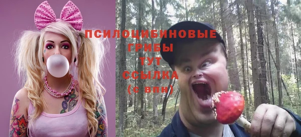 ГАЛЛЮЦИНОГЕННЫЕ ГРИБЫ Балабаново