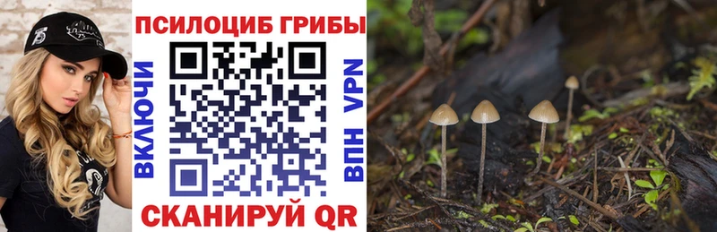 Псилоцибиновые грибы мухоморы  Озёры 